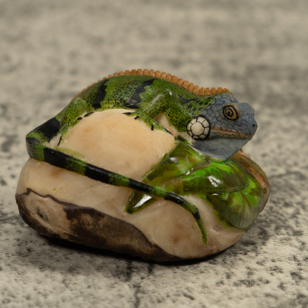 Iguana Lizard Reptile Tagua Carving
