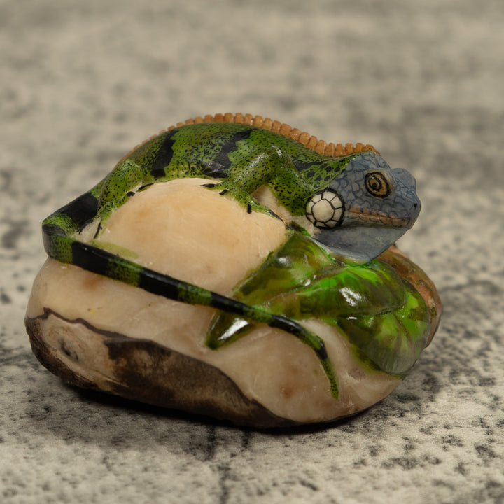 Iguana Lizard Reptile Tagua Carving