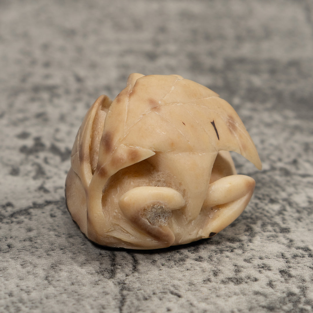 Vintage Frog And Foliage Tagua Carving