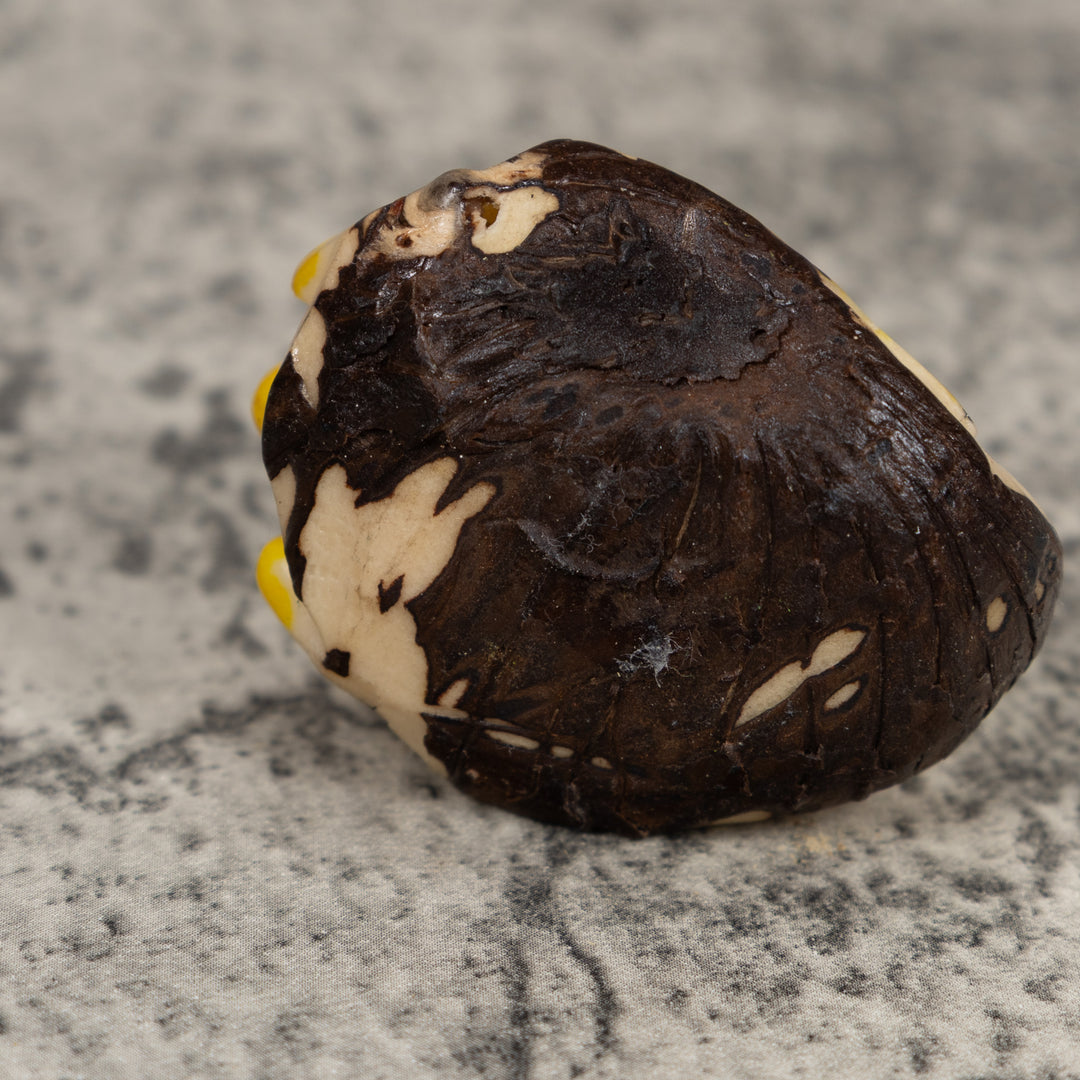 Yellow And Red Poison Dart Frog Tagua Carving