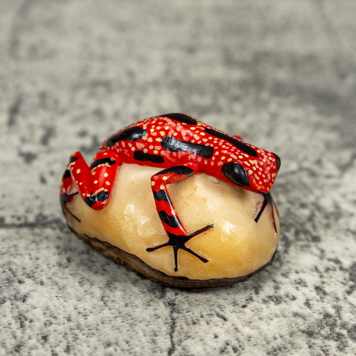 Black And Red Poison Dart Frog Tagua Carving