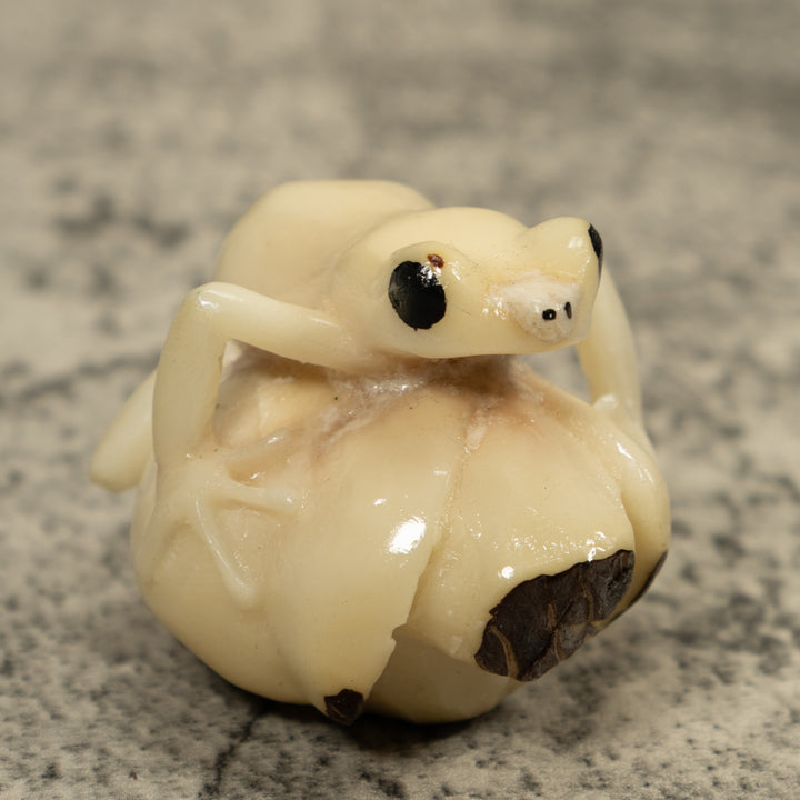 White Natural Frog Tagua Carving