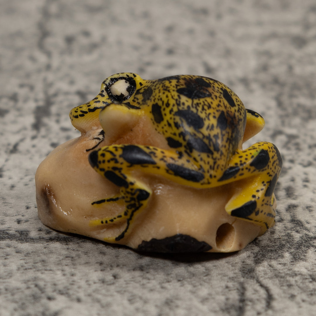 Poison Dart Frog Tagua Carving