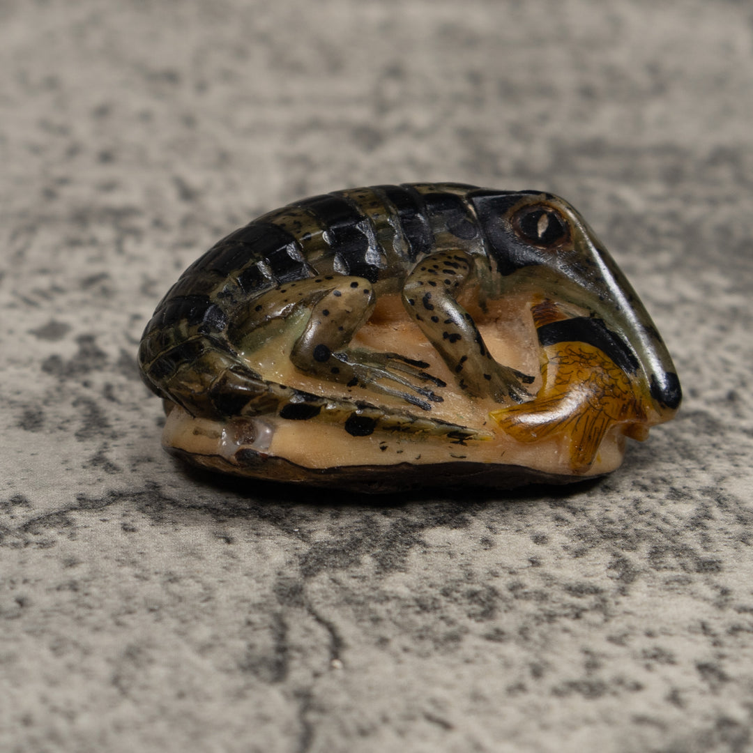 Vintage Black And Brown Alligator With Fish Tagua Carving