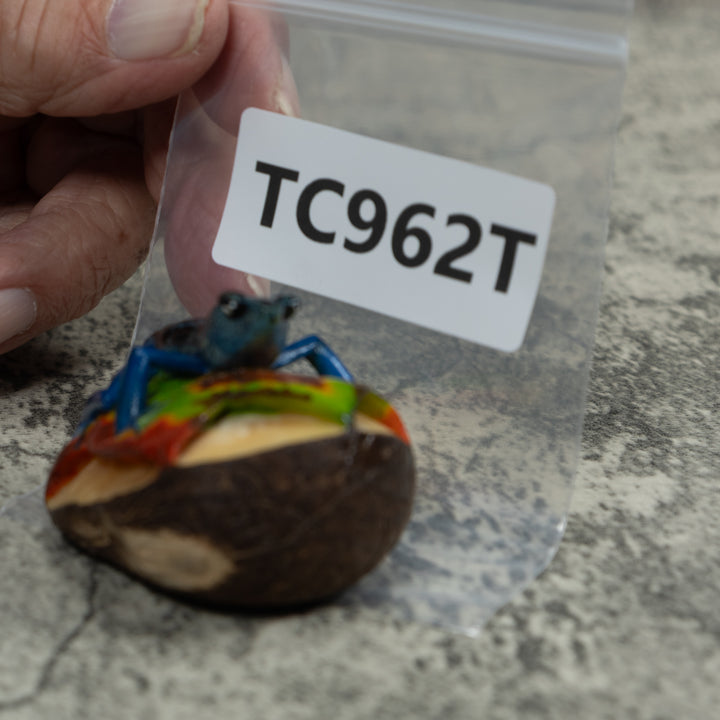 Blue Poison Dart Frog Tagua Carving