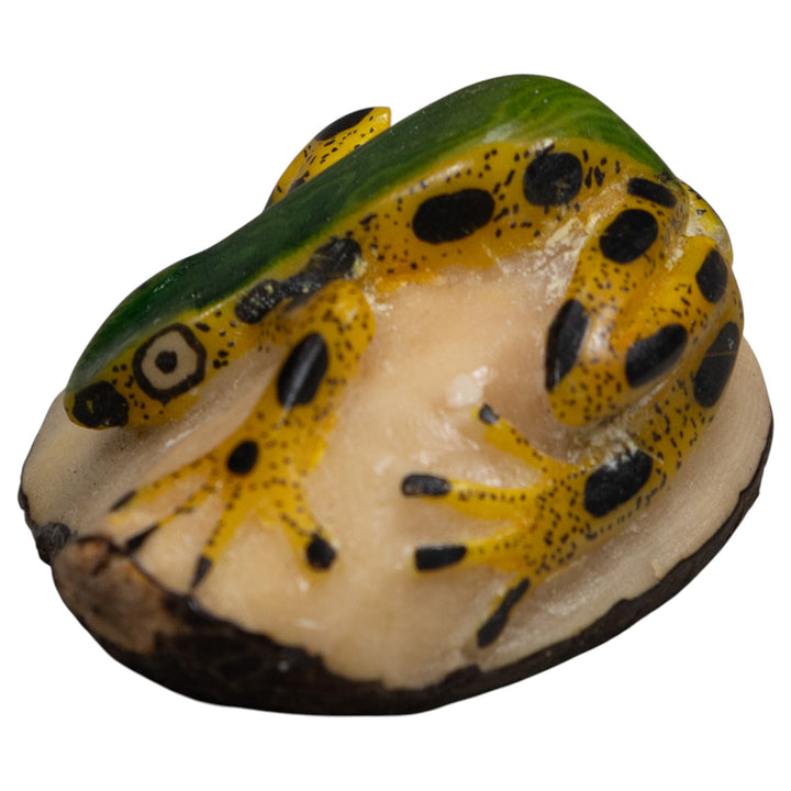 Poison Dart Frog Tagua Carving