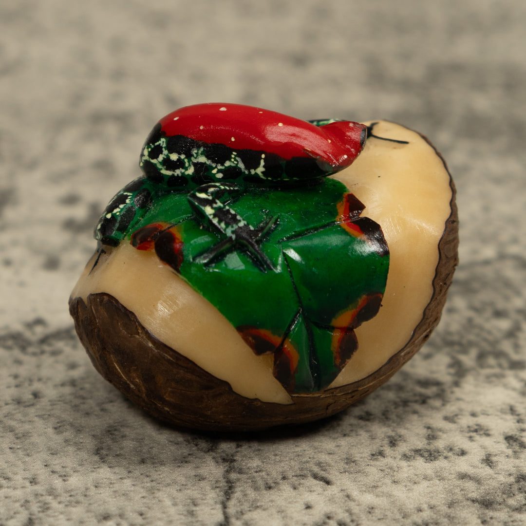 Poison Dart Red And Black Frog Tagua Carving