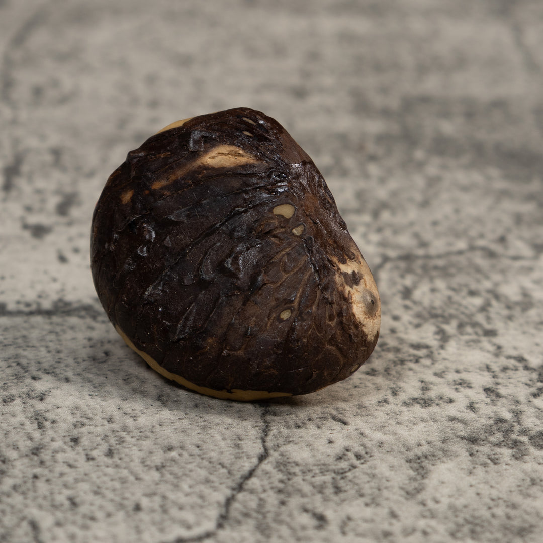 Red And Yellow Poison Dart Frog Tagua Carving