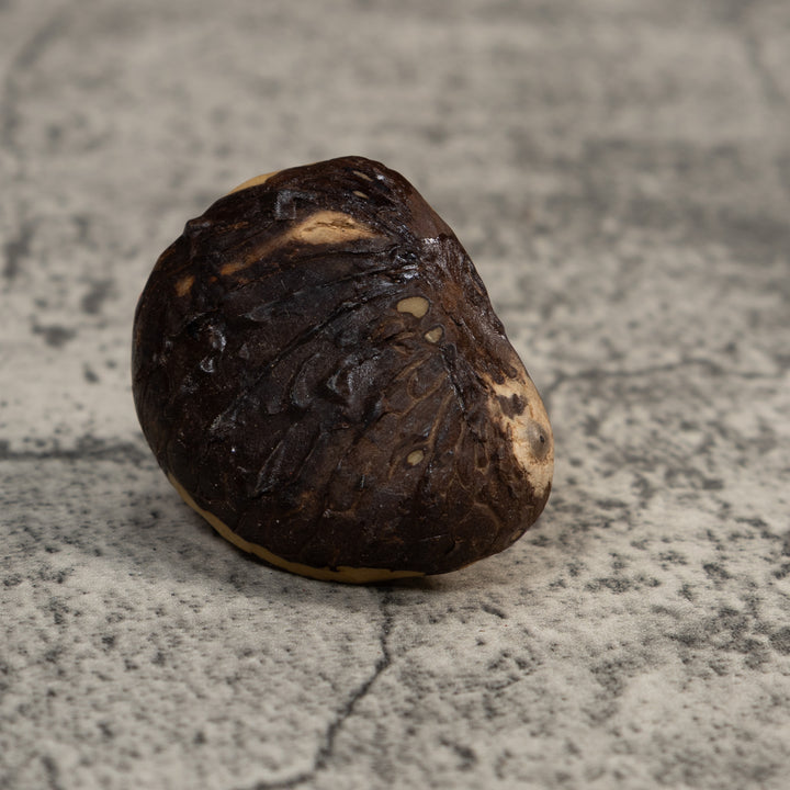 Red And Yellow Poison Dart Frog Tagua Carving