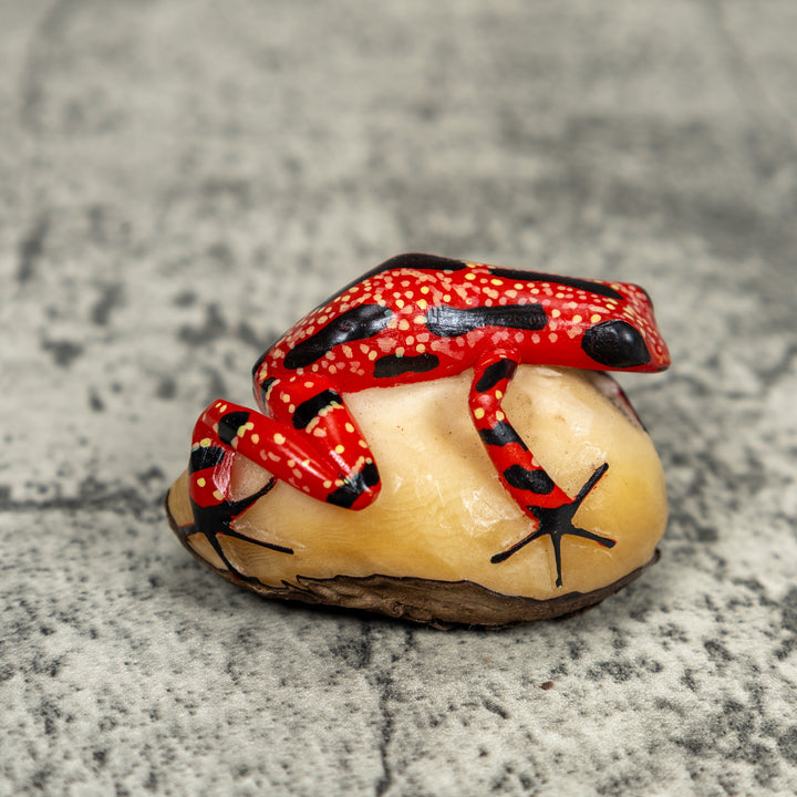 Black And Red Poison Dart Frog Tagua Carving