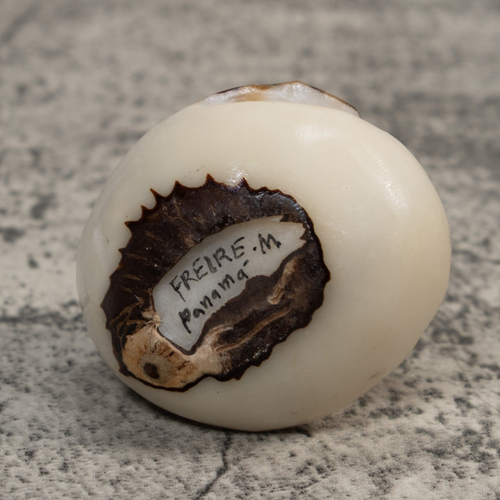 Sea Turtle With Egg Tagua Carving