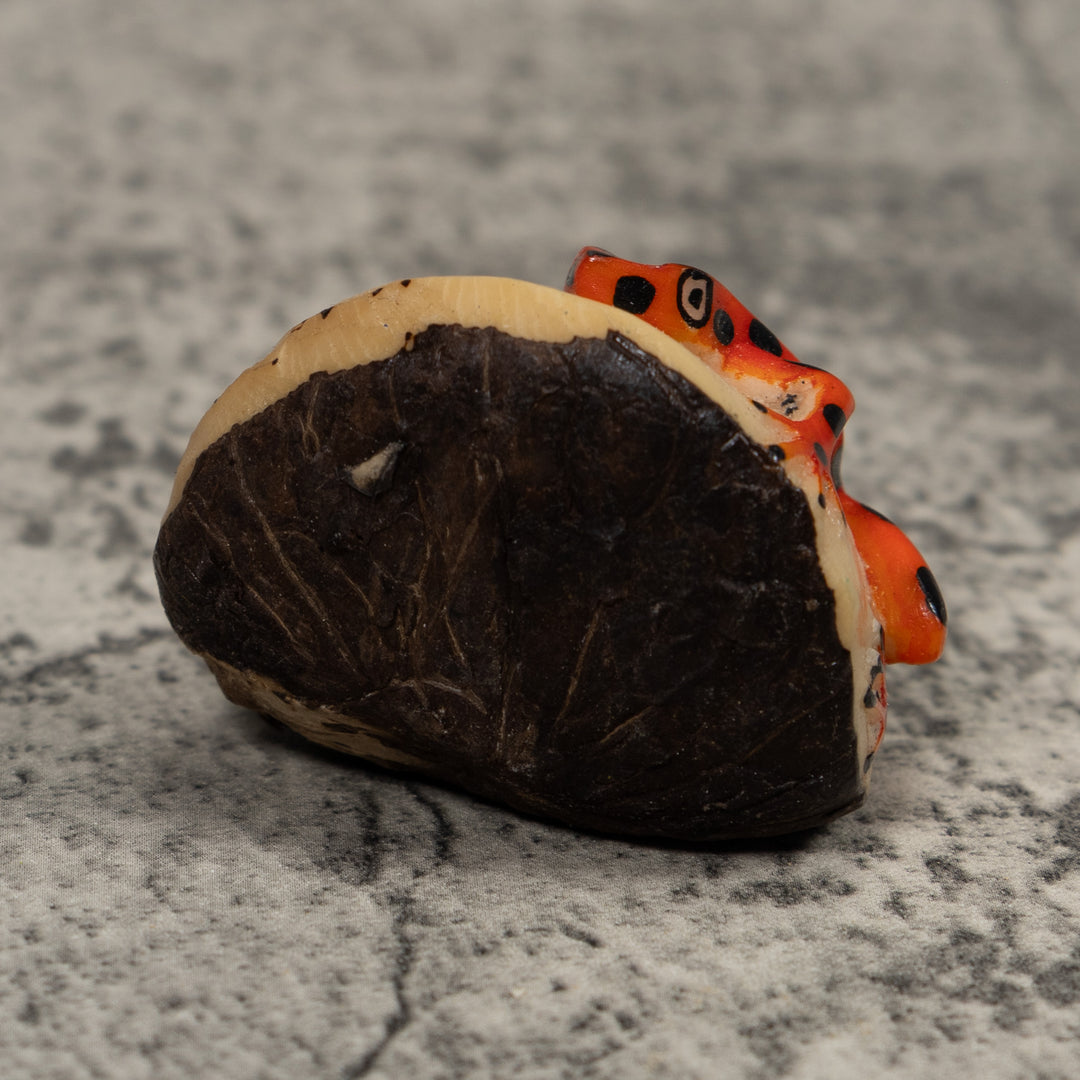 Vintage Black And Red Frog Tagua Carving