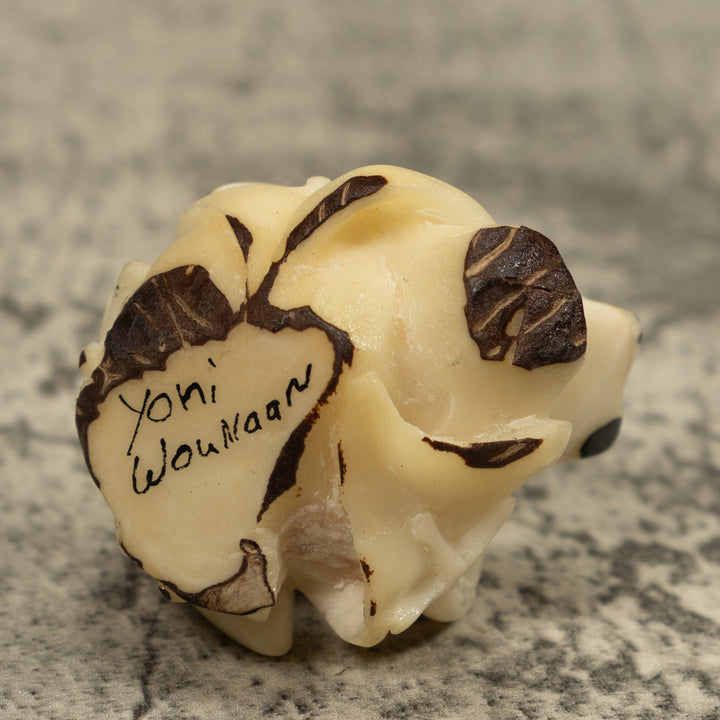 White Natural Frog Tagua Carving