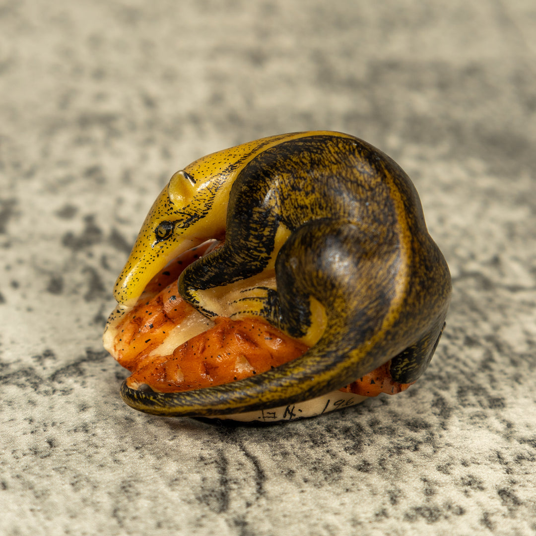 Anteater On Termit Nest Tagua Carving