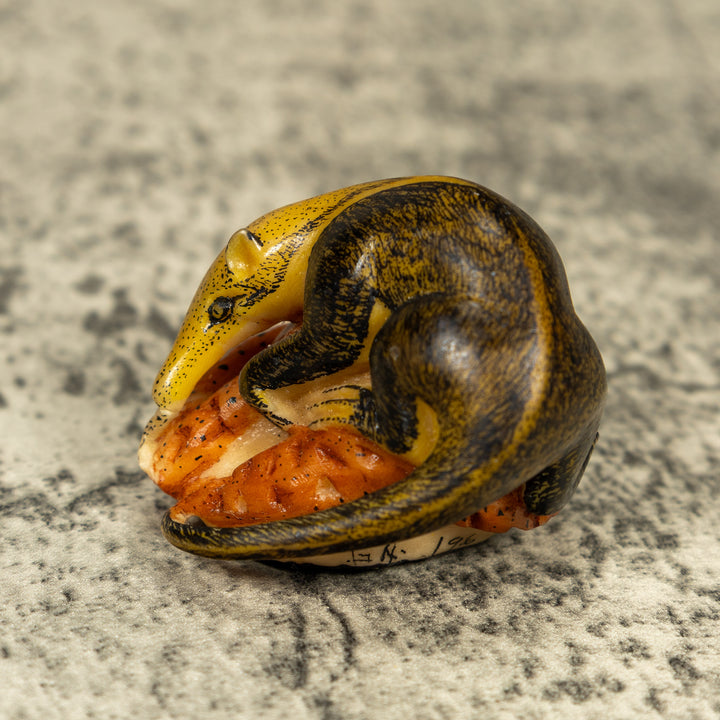 Anteater On Termit Nest Tagua Carving