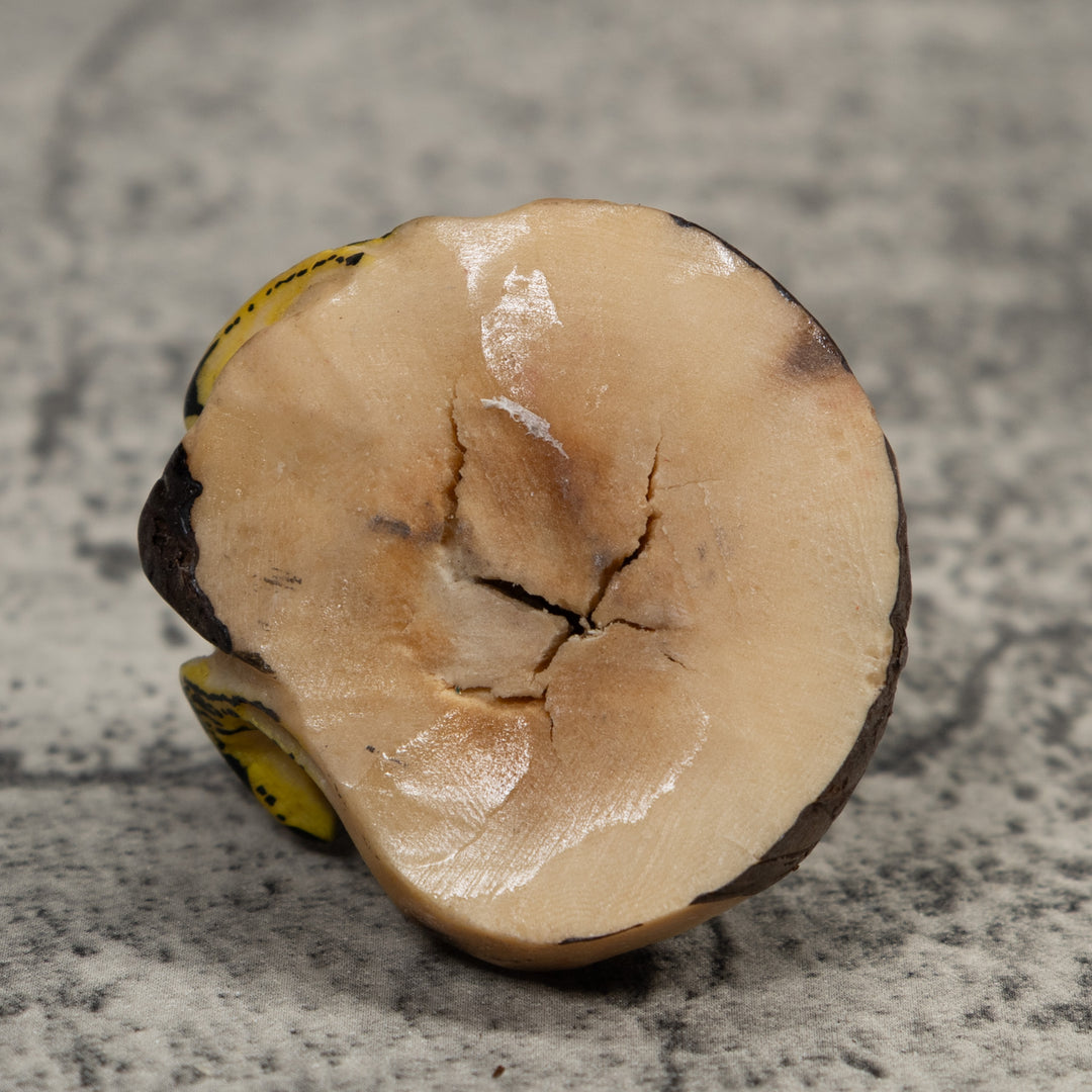 Poison Dart Frog Tagua Carving