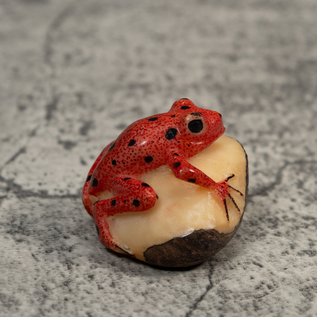 Vintage Red And Black Poison Dart Frog Tagua Carving