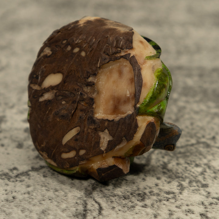 Iguana Lizard Reptile Tagua Carving