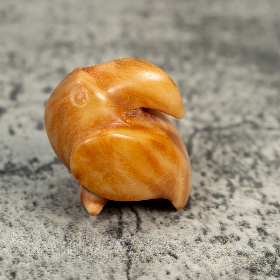 Vintage Dyed Toucan Bird Tagua Carving