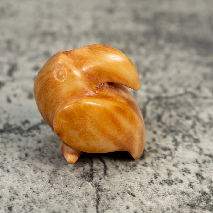 Vintage Dyed Toucan Bird Tagua Carving