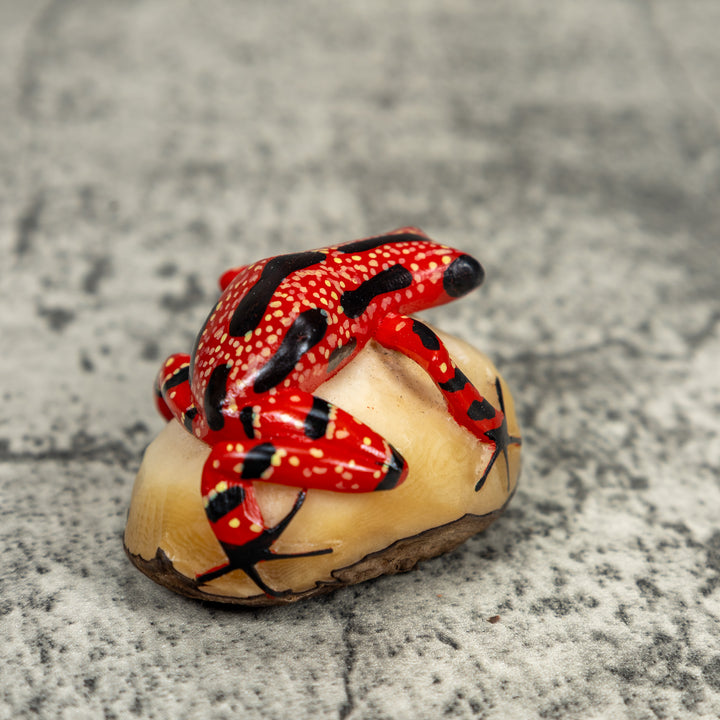 Black And Red Poison Dart Frog Tagua Carving