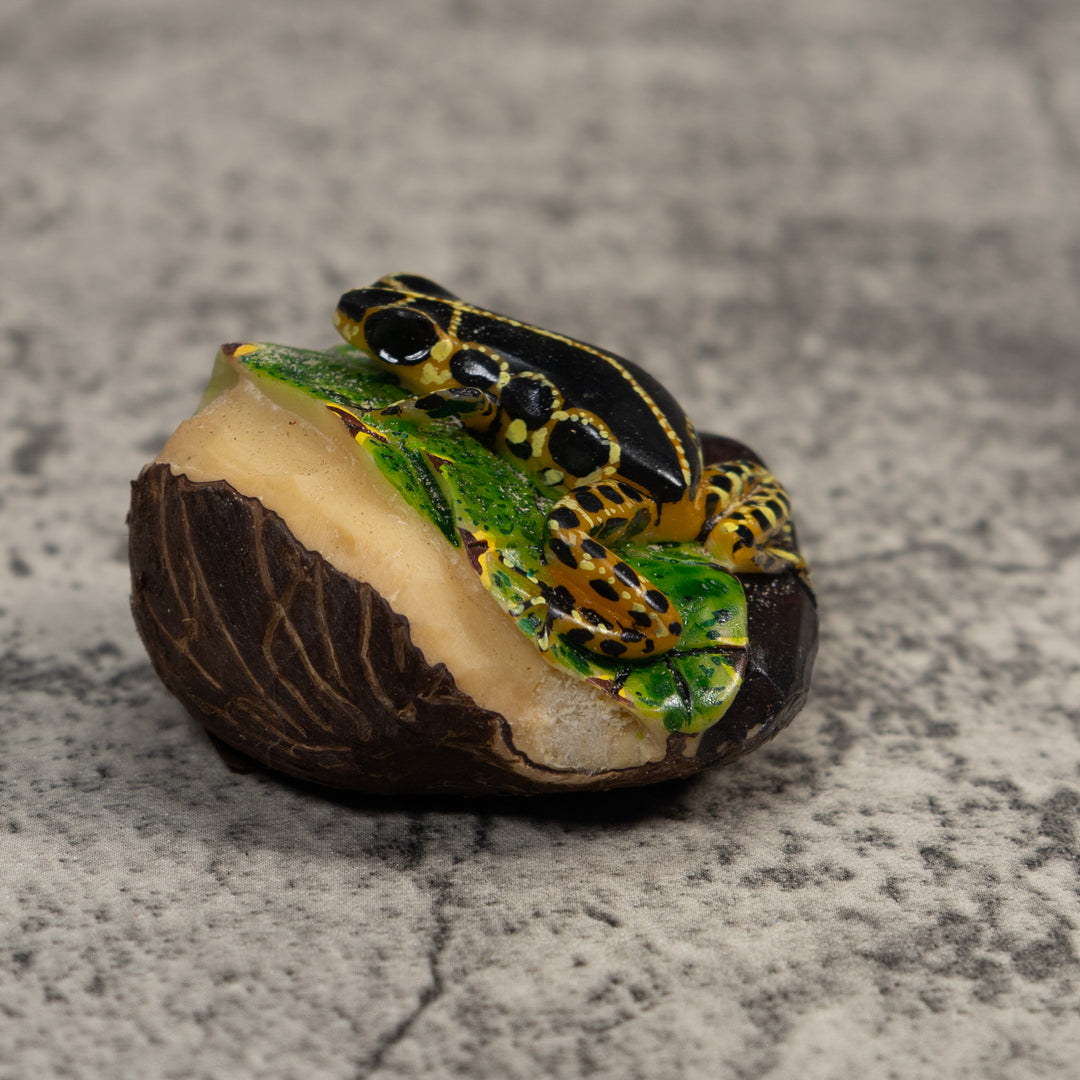 Black And Yellow Poison Dart Frog Tagua Carving