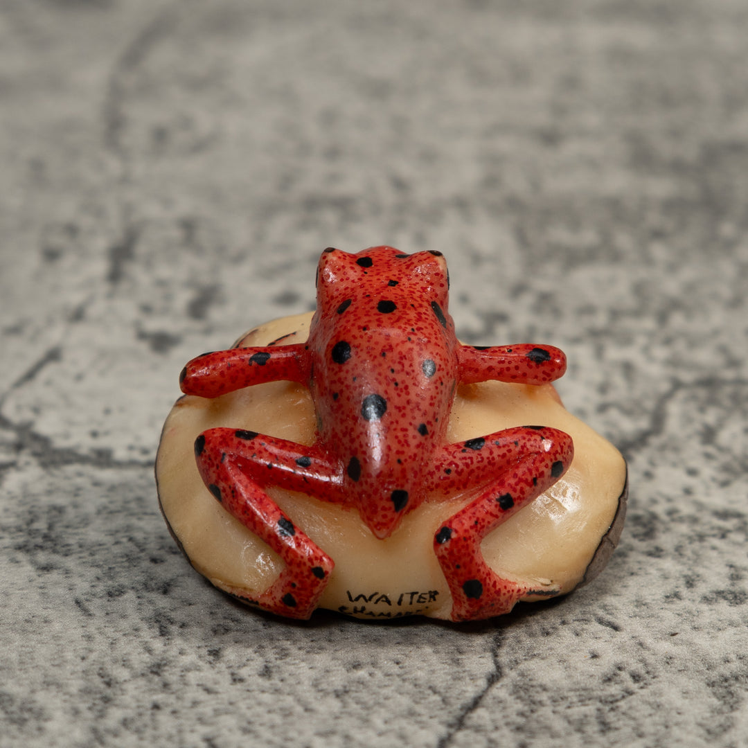 Vintage Red And Black Poison Dart Frog Tagua Carving