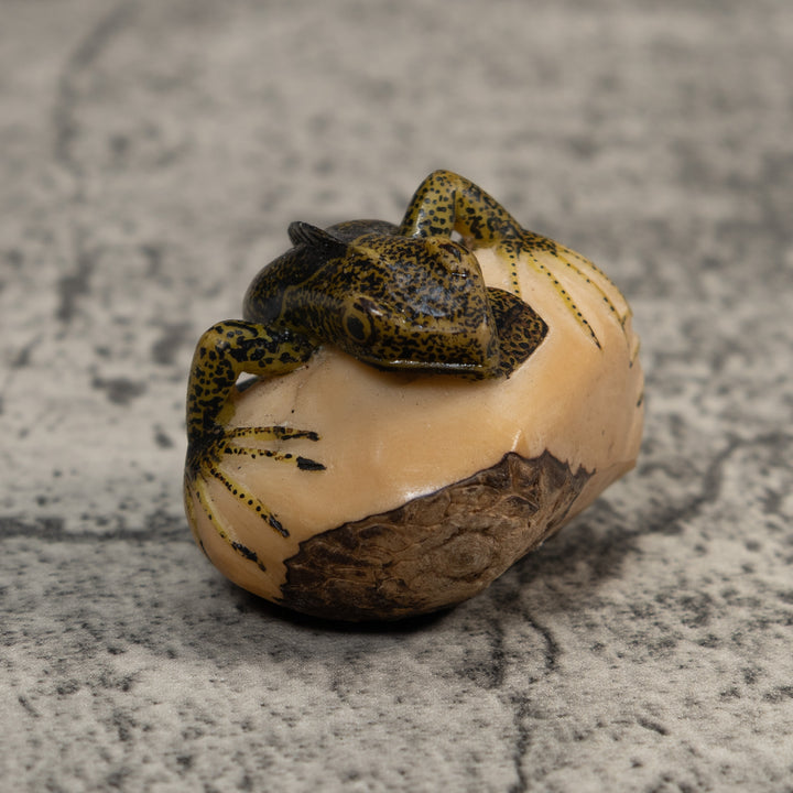 Brown And Black Iguana Lizard Tagua Carving