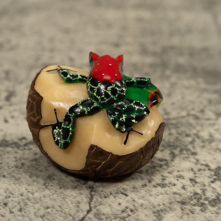 Poison Dart Red And Black Frog Tagua Carving