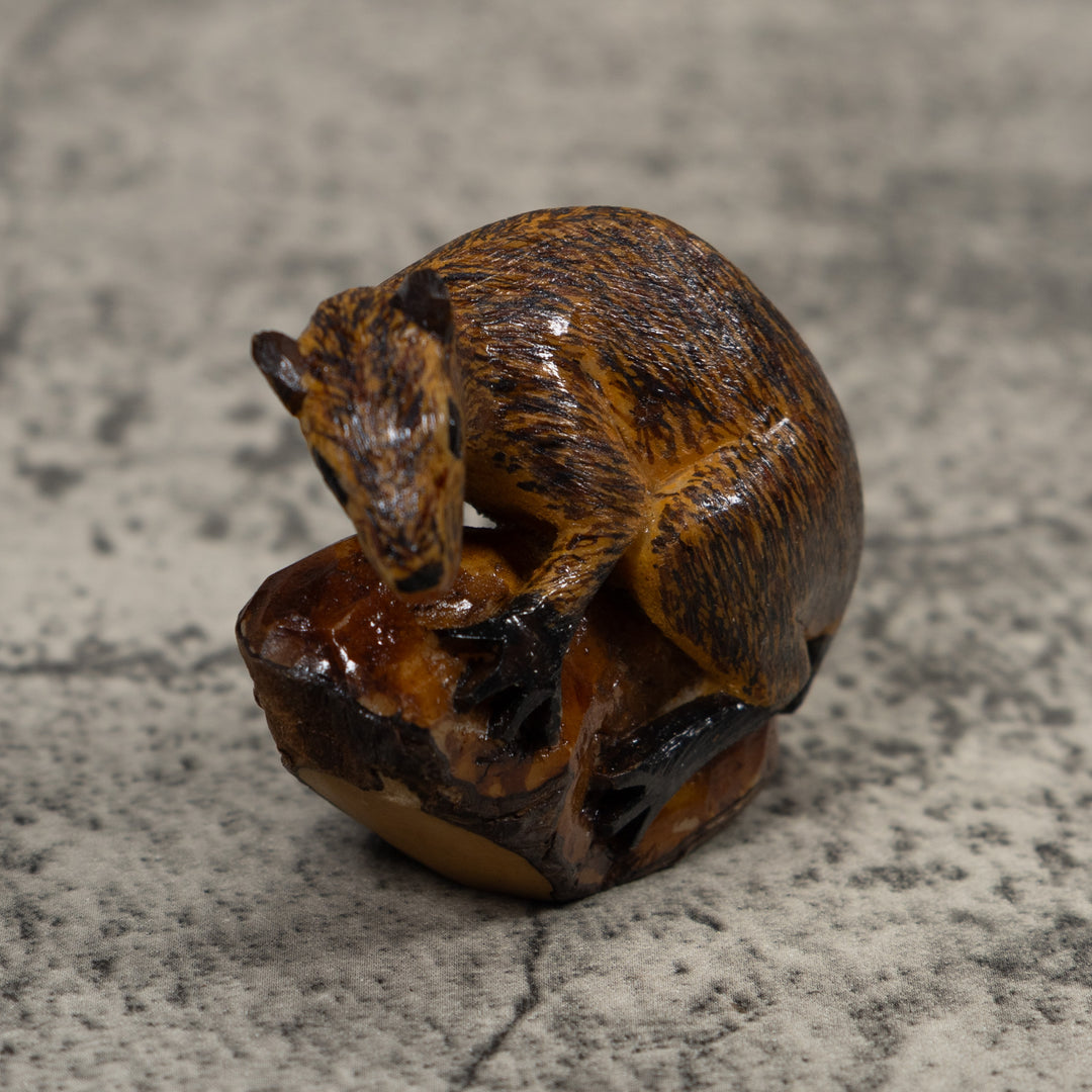 Neque Agouti Tagua Carving