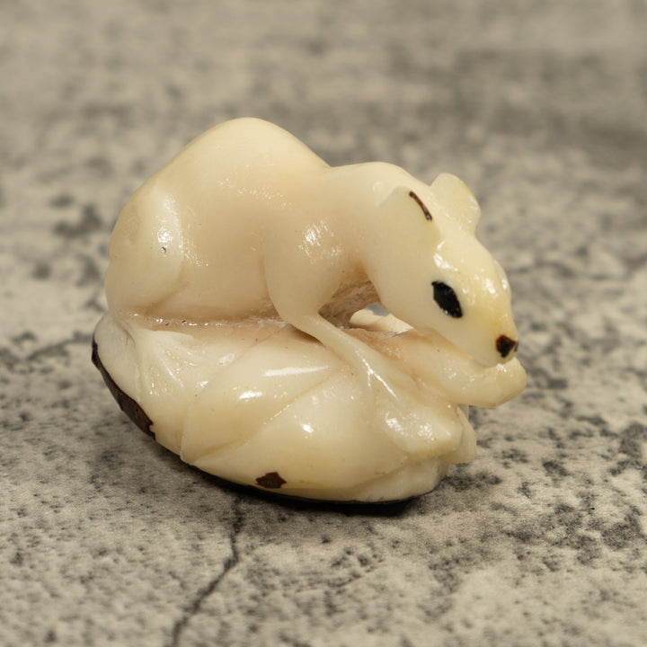 White Natural Negue Agouti Tagua Carving
