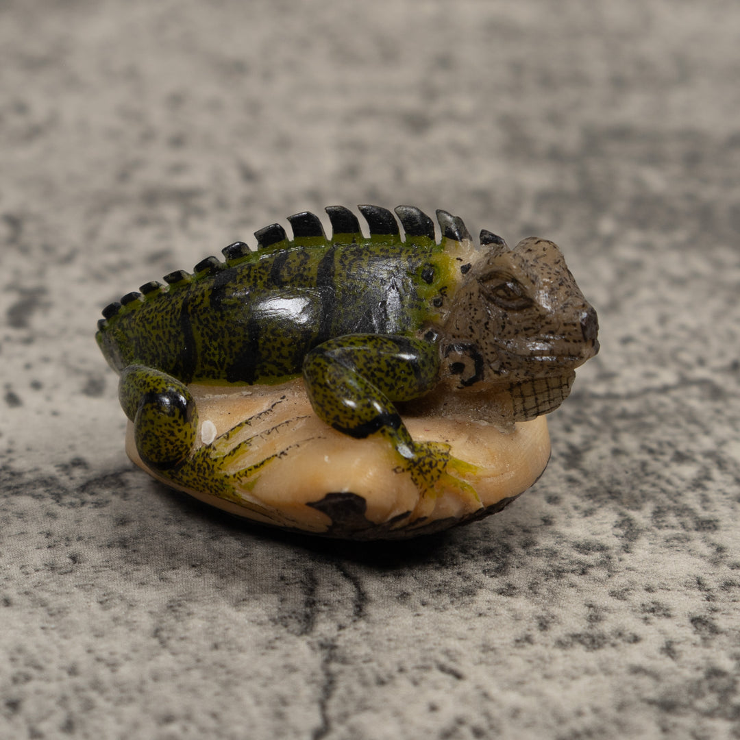 Iguana Lizard Reptile Tagua Carving