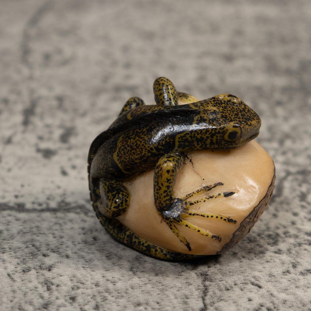 Brown And Black Iguana Lizard Tagua Carving