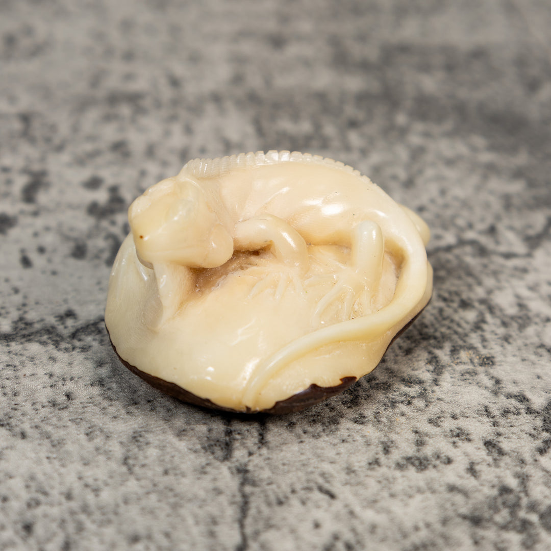 Natural White Iguana Lizard Tagua Carving