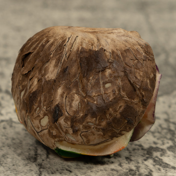 Hummingbird Tagua Carving