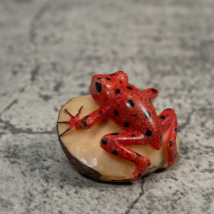 Vintage Red And Black Poison Dart Frog Tagua Carving