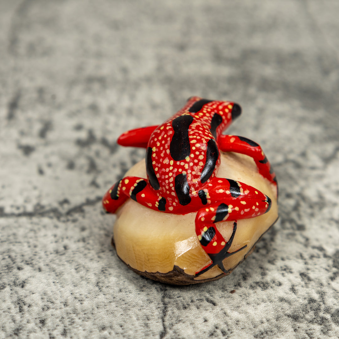 Black And Red Poison Dart Frog Tagua Carving