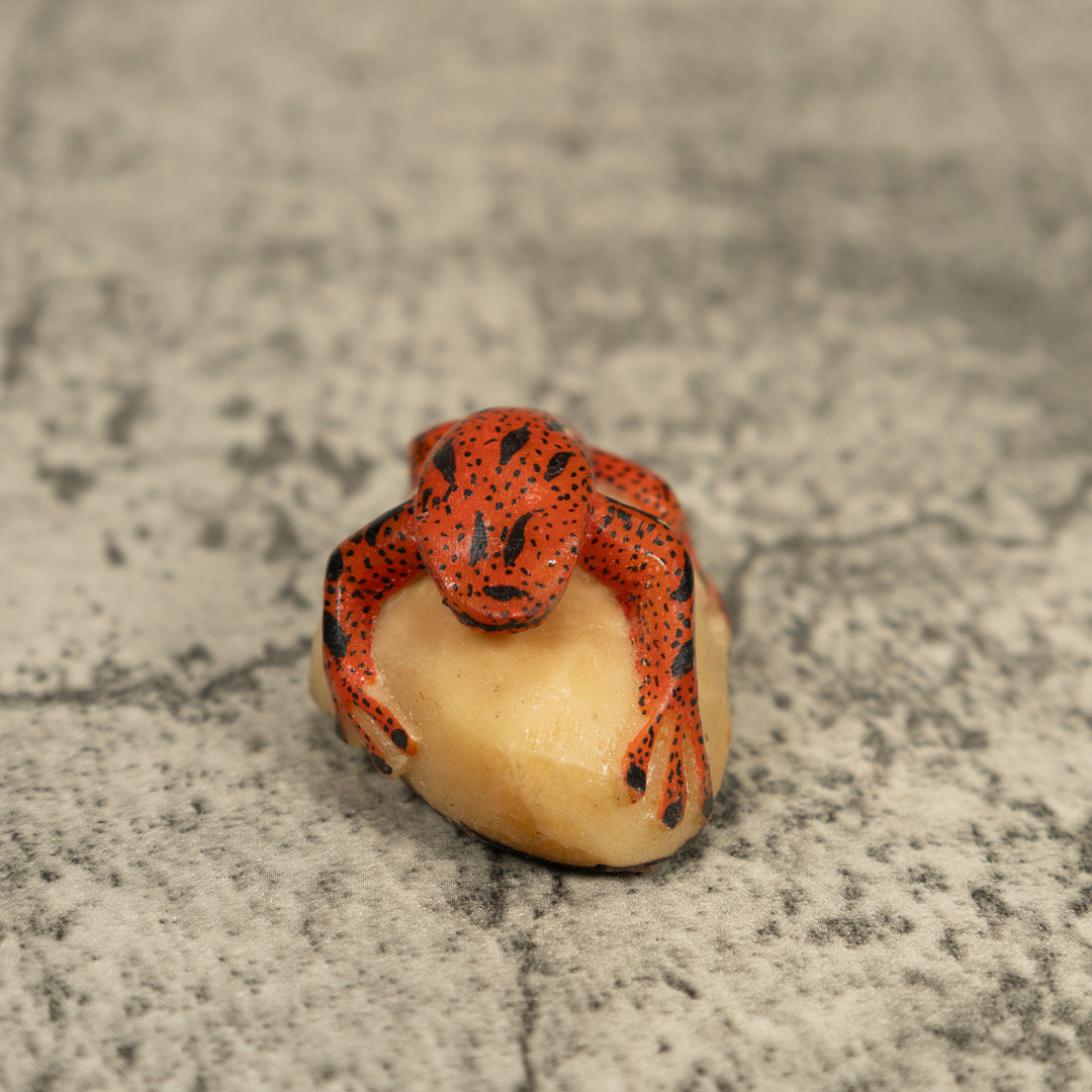 Black And Orange Poison Dart Frog Tagua Carving