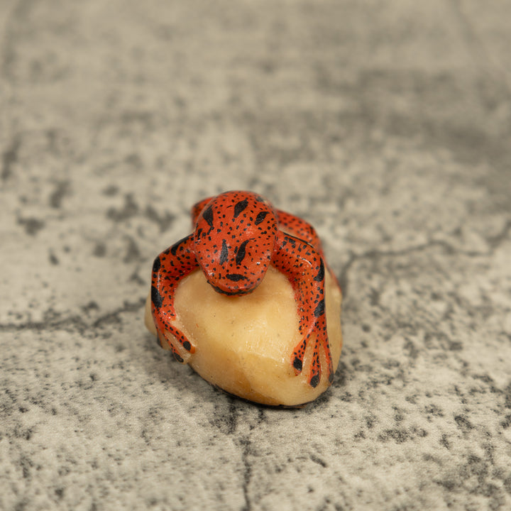 Black And Orange Poison Dart Frog Tagua Carving