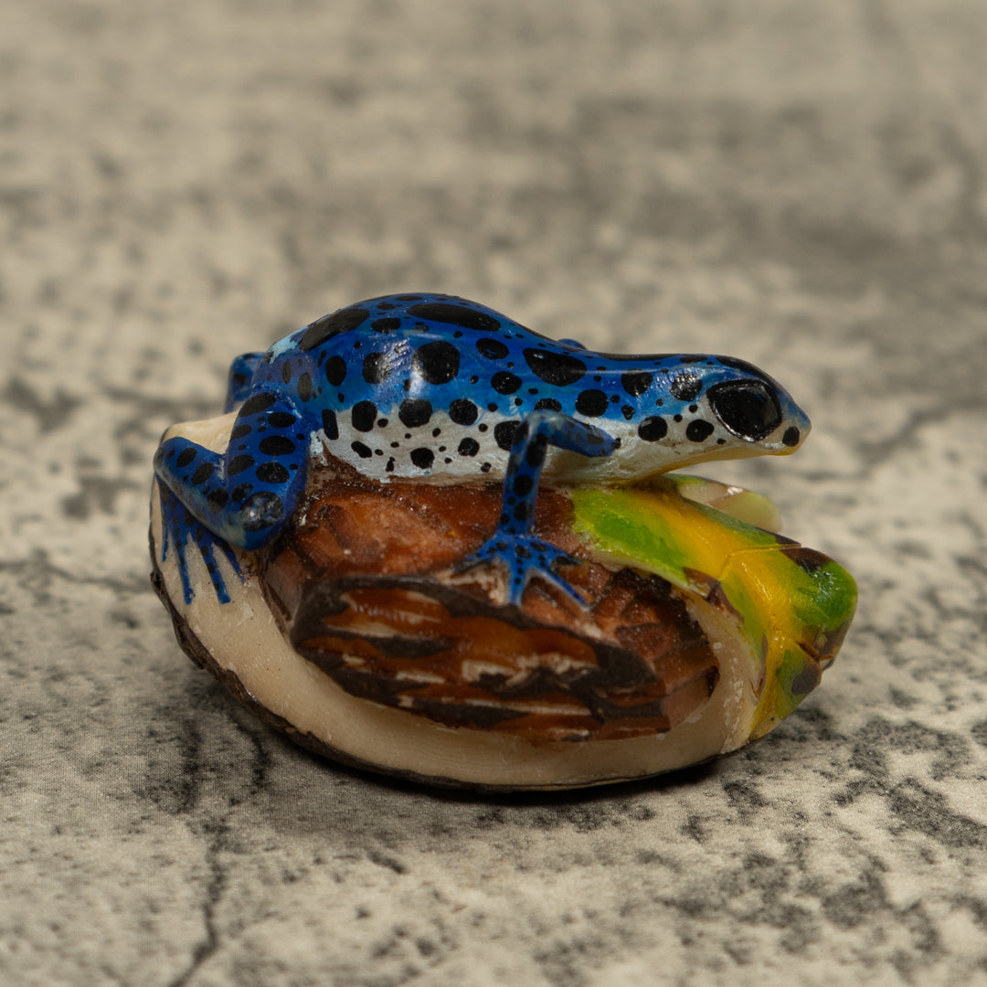 Blue Poison Dart Frog Tagua Carving