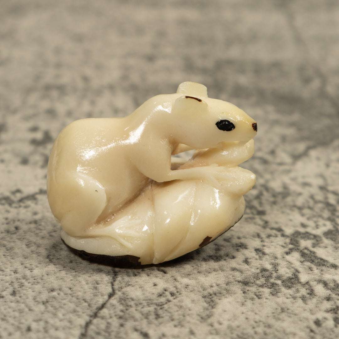 White Natural Negue Agouti Tagua Carving