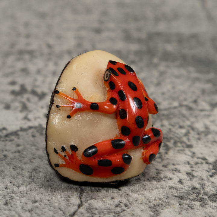 Vintage Black And Red Frog Tagua Carving