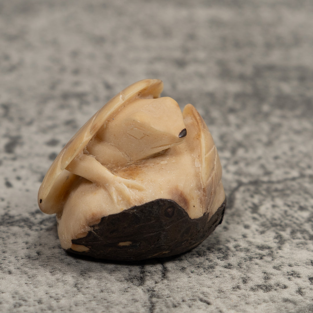 Vintage Frog And Foliage Tagua Carving