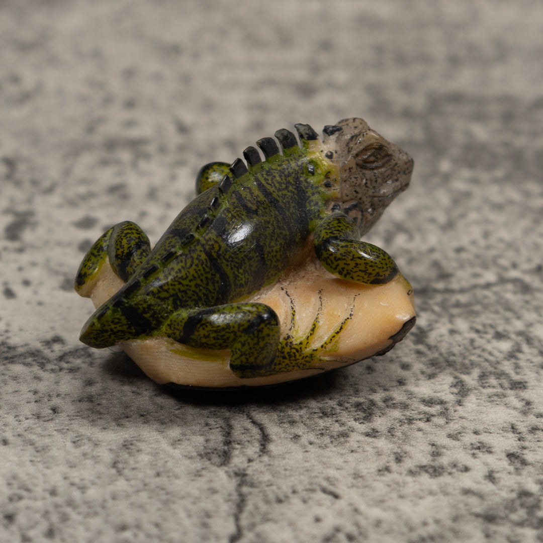 Iguana Lizard Reptile Tagua Carving