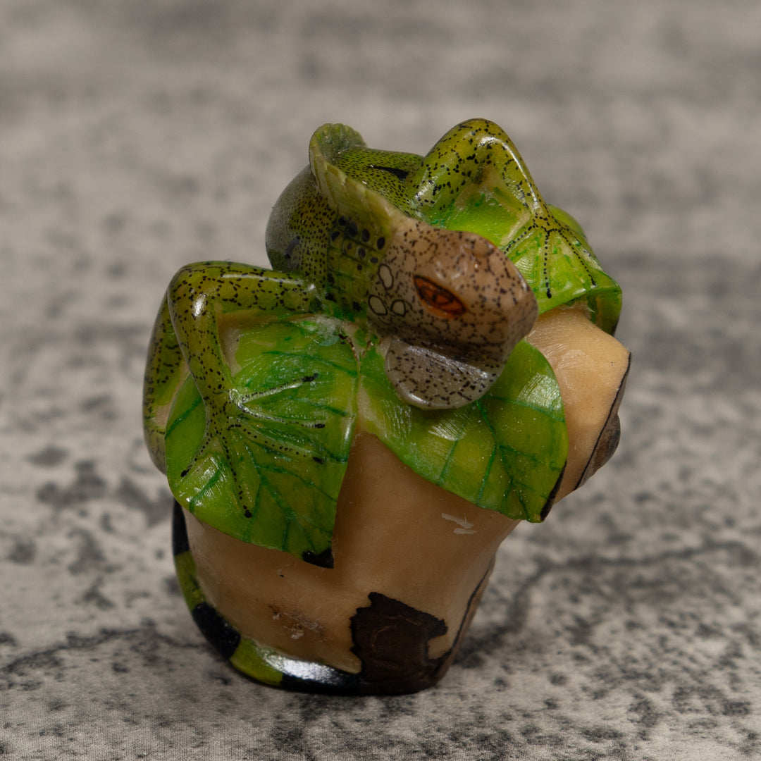 Iguana Lizard Reptile Tagua Carving