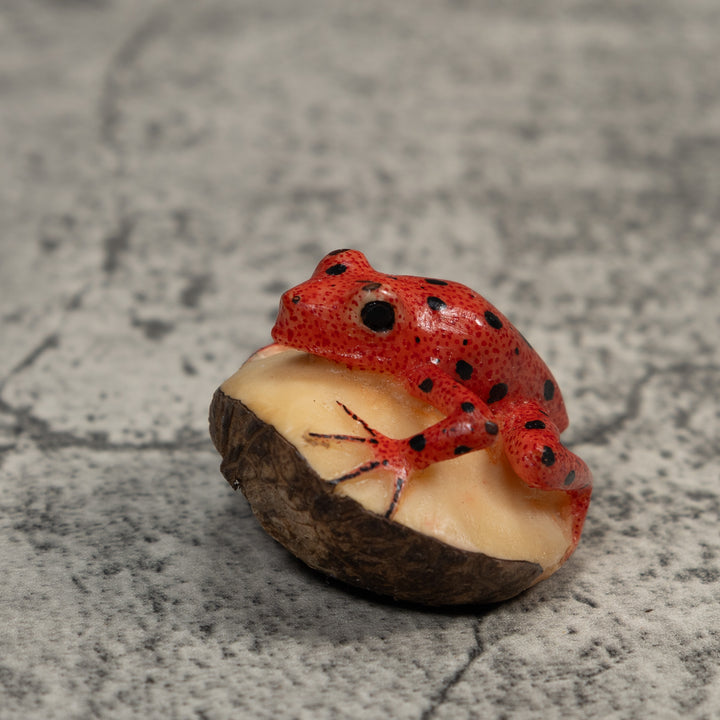 Vintage Red And Black Poison Dart Frog Tagua Carving