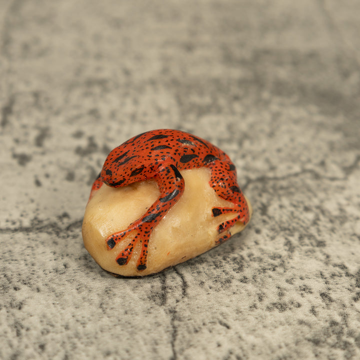 Black And Orange Poison Dart Frog Tagua Carving