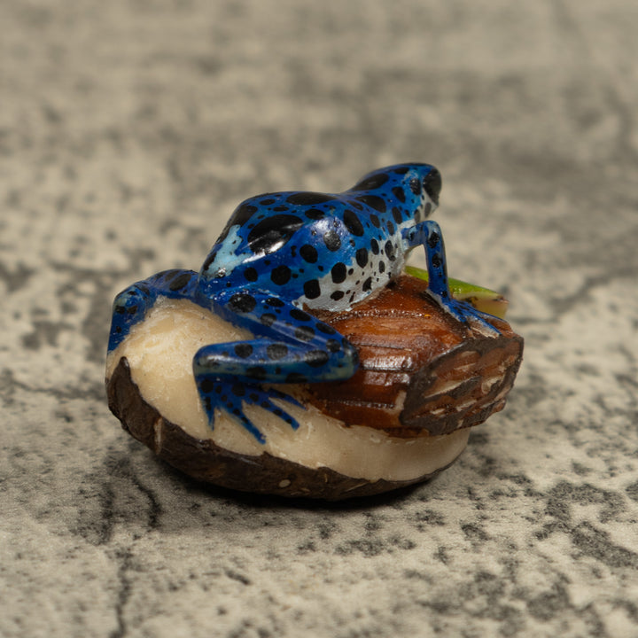 Blue Poison Dart Frog Tagua Carving
