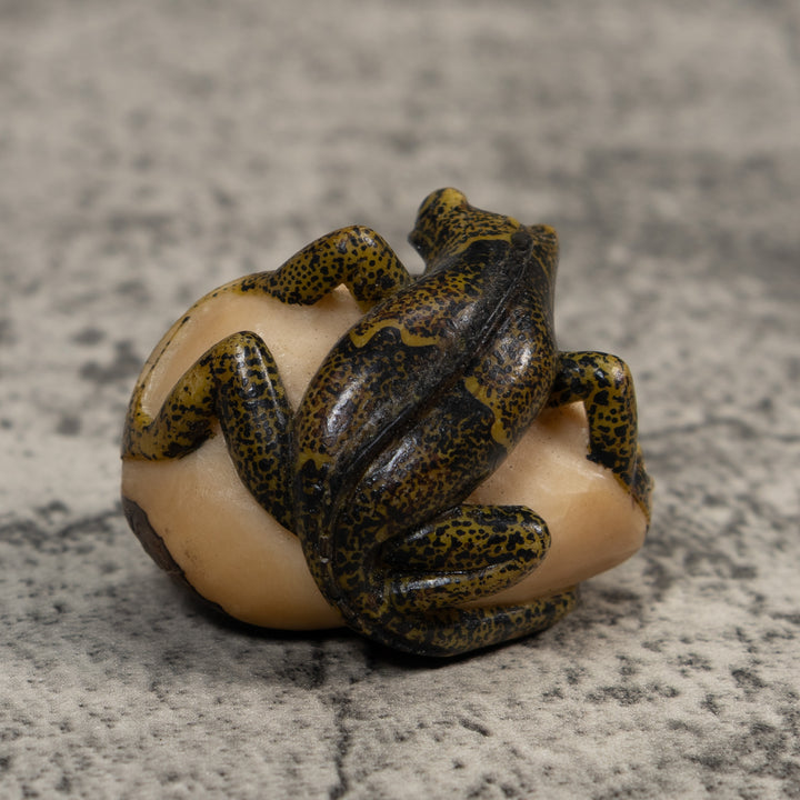 Brown And Black Iguana Lizard Tagua Carving