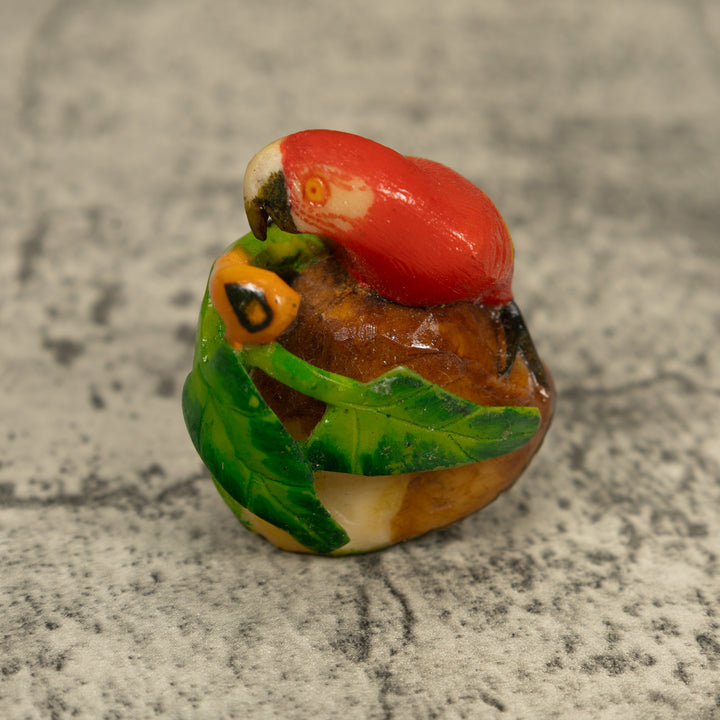 Red Blue And Yellow Macaw Parrot Bird Tagua Carving
